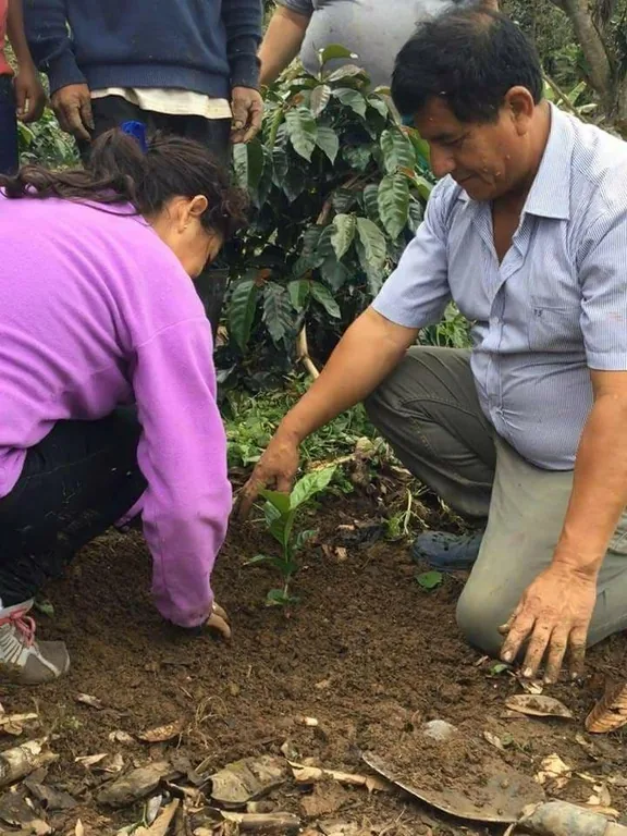 Trabajo de la tierra en la finca familiar Ramírez García